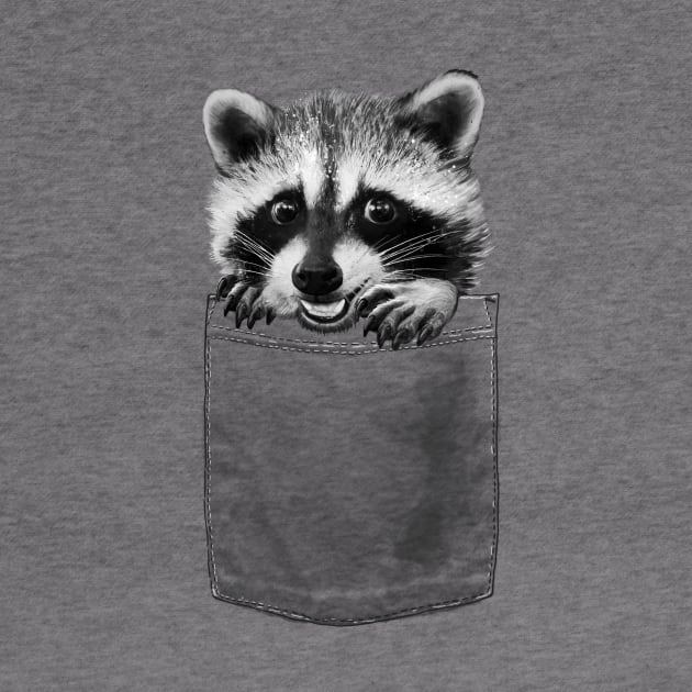 Raccoon in Pocket by LauraGraves